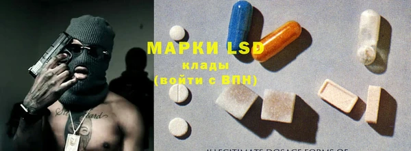 спиды Аркадак