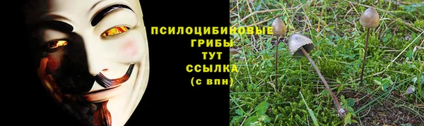 мяу мяу кристалл Алексин