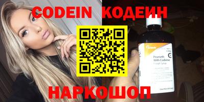 мдпв Кингисепп