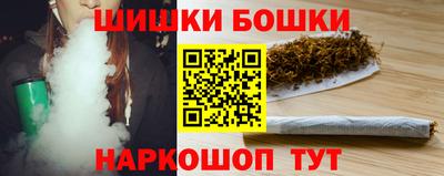 мдпв Кингисепп