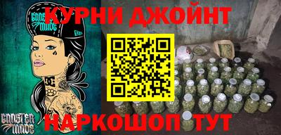 мдпв Кингисепп