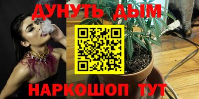 мдпв Кингисепп