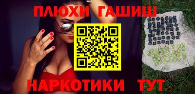 мдпв Кингисепп