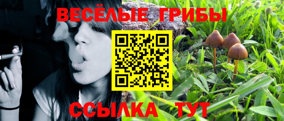 Галлюциногенные грибы Cubensis Волхов