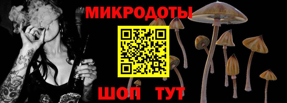 Галлюциногенные грибы GOLDEN TEACHER  Псилоцибиновые грибы GOLDEN TEACHER  Вход с VPN  Волхов 