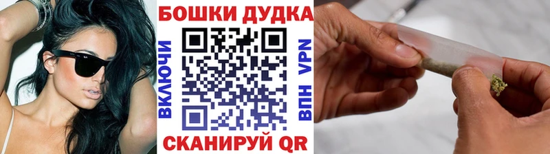 Марихуана план где найти Волхов